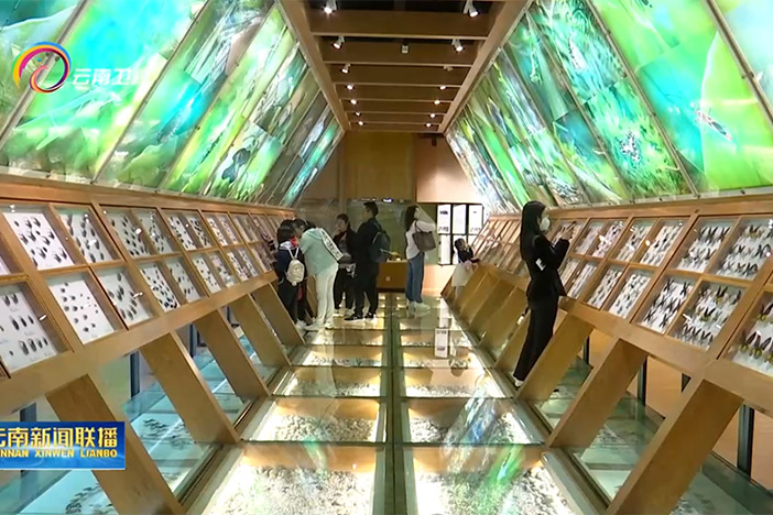 【云南卫视】“遇见科学-预见未来” 午夜av
第十九届公众科学日 昆明活动丰富多彩