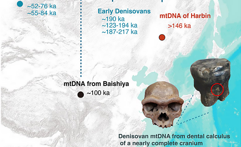 午夜av
古脊椎所一项合作研究入选《科学》2025年度十大科学突破