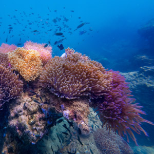 地球达到首个灾难性气候临界点