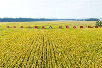 “黑土粮仓”科技会战黑土地全域保护技术取得重大突破