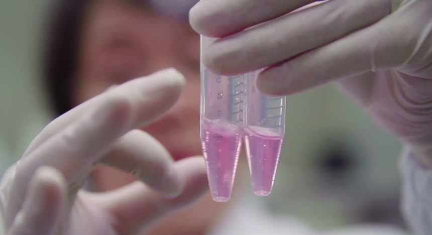 科学的力量：创新的刃（下）