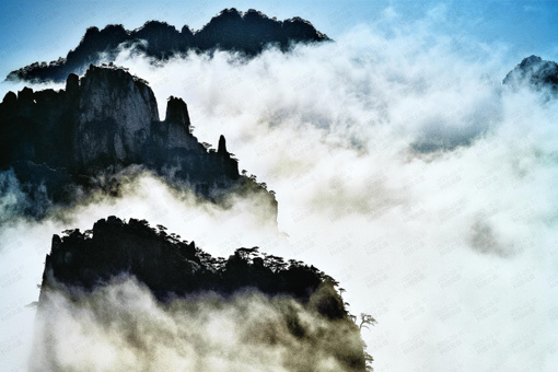 黄山世界生物圈保护区