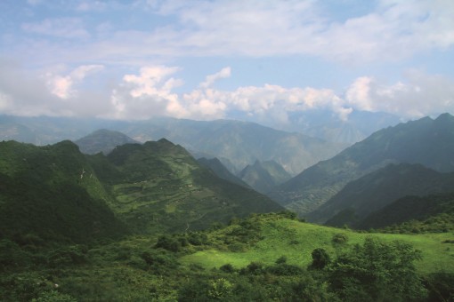 白水江世界生物圈保护区