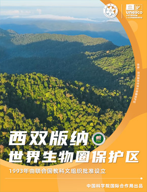 西双版纳世界生物圈保护区