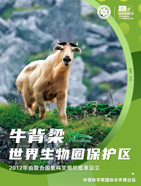 牛背梁世界生物圈保护区