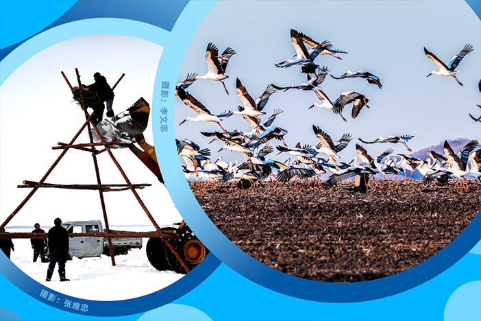 解锁湿地“碳银行”