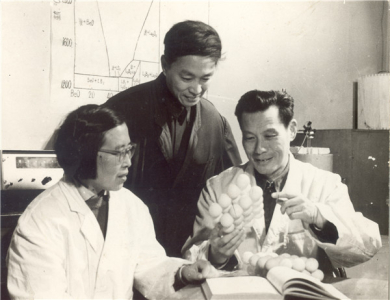1985年，严东生与林祖纕、郭祝崑讨论材料相平衡理论研究工作