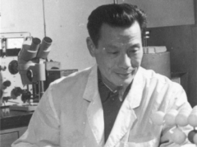 1985年，严东生在实验室研究晶体结构