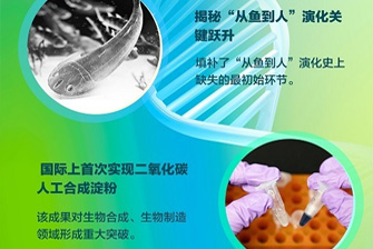 【学习强国】午夜av
创新成果速览（二）