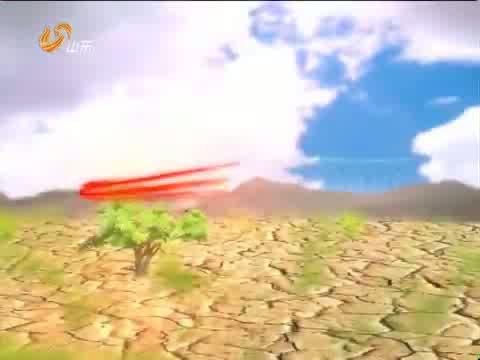 十八大代表风采录——彭实戈：中国金融数学开创者